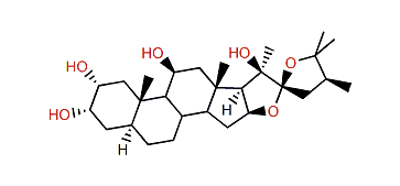 2-Desacetyl-22-epihippurin 1